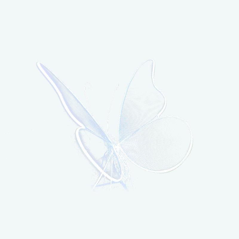 LED Dynamic Glowing Butterfly Outdoor Waterproof Garden Lights