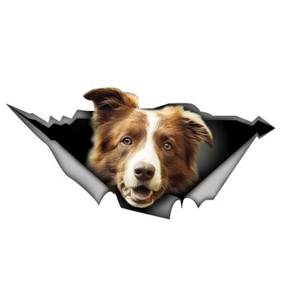 Brown and White Border Collie Car Stickers, Waterproof Pvc Animal Decals With 3D Effect, Block Scratches and Increase Fun Auto Parts