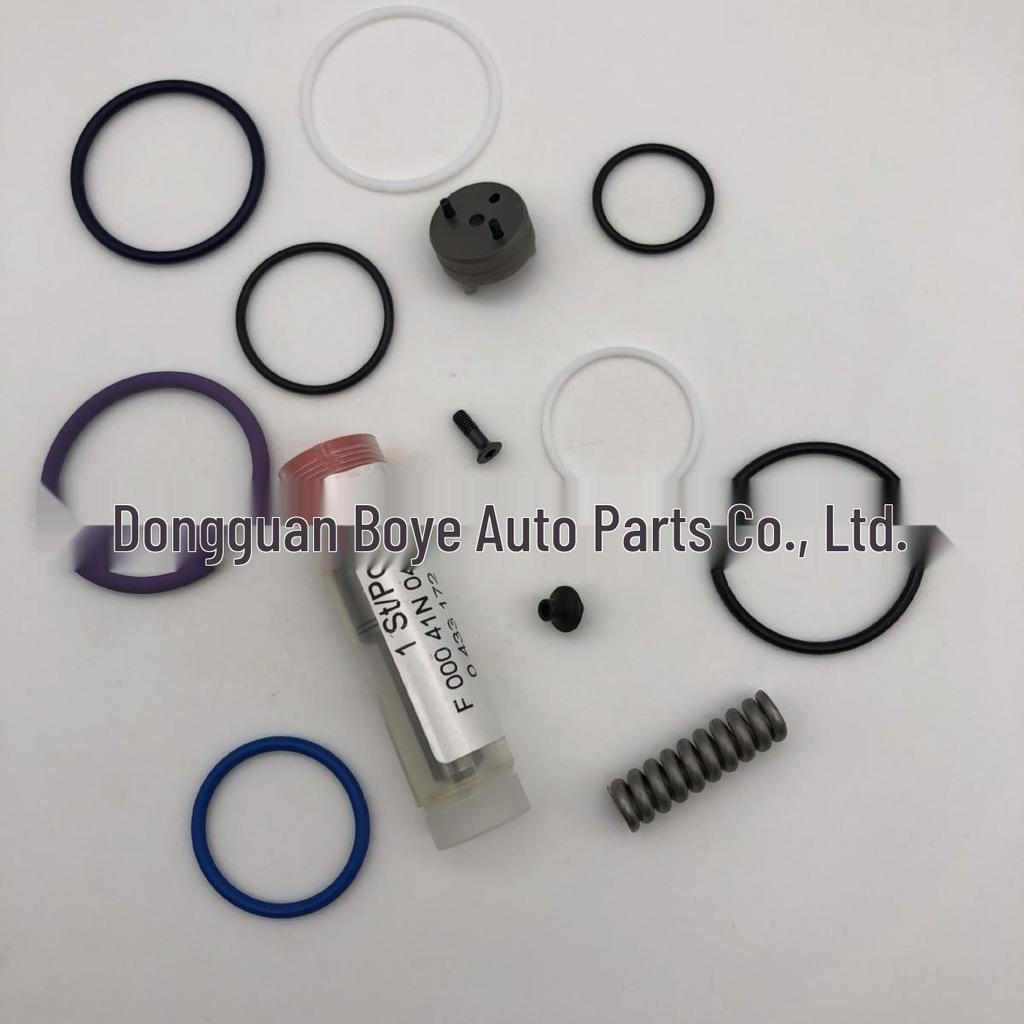 Pump Nozzle Injector Repair Kit F00041N043 for 1920420