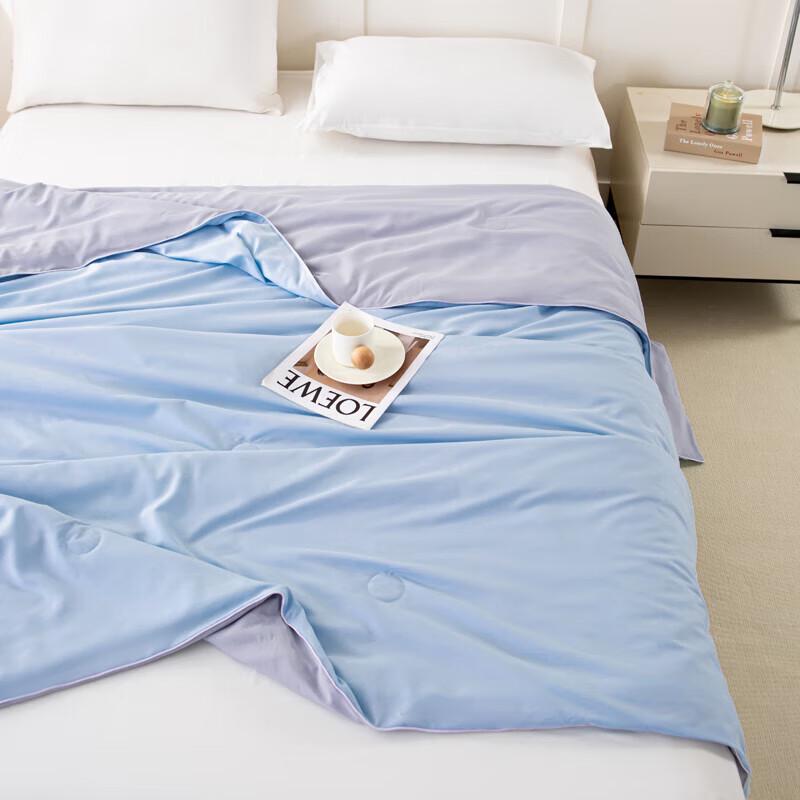 PAUI DAVID Aivi Bentley Blue All-Season Comfort Quilt