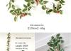 Hong Yu Christmas Wreath: Red Berry & White-Edged Leaf Decorative Hanging