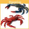 Crab Realistic Marine Animal Figurine Plastic Toy For Kids Educational Gifts