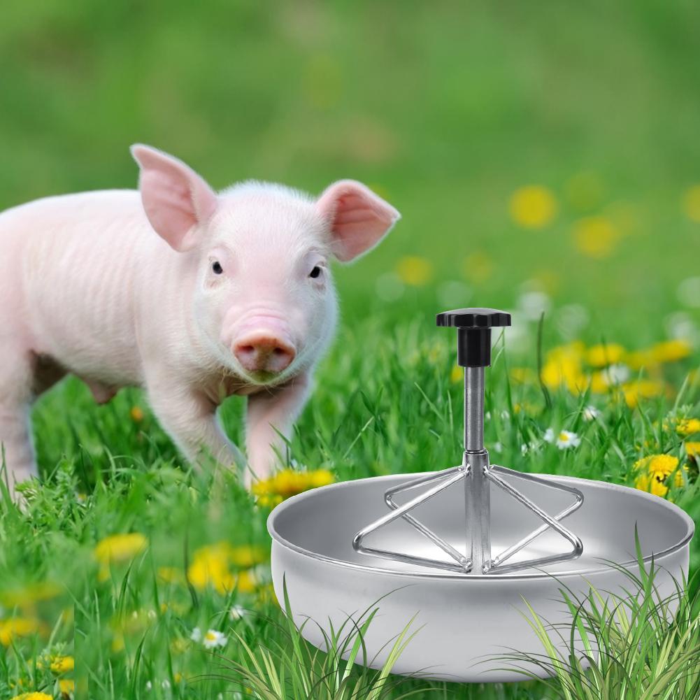 Feeding Bowl, Feeding, Feeding Container with Plastic Grooved Rod, Stainless Steel