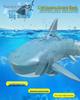 Shark Remote Control Electric Toy - 2.4G, Long Battery, Water Play