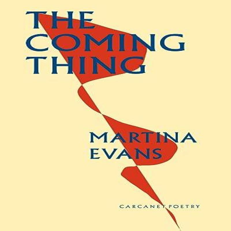 The Coming Thing by Martina Evans Paperback Book 9781800173453