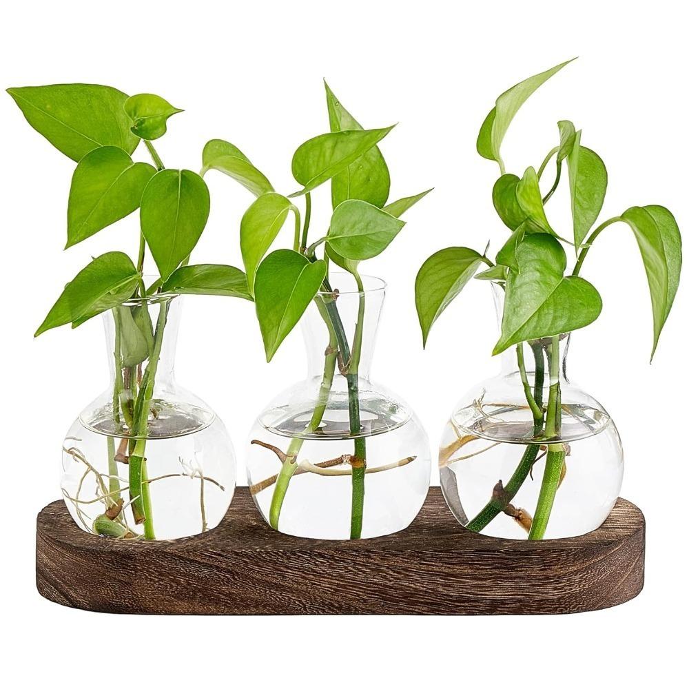 

Creative Plant Transparent Hydroponics Glass Vase with Wooden Tray for Flowers Plant Cutting Rooting Pot Desktop Decorating