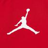 Jordan T Shirts Men's 697 Gym Red Crew Neck Moderate DX9894-697