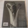 [USED] Karl Blossfeldt:Photographs1865-1932
