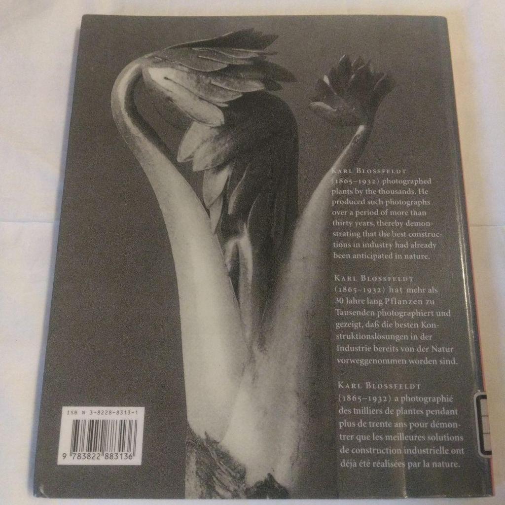 [USED] Karl Blossfeldt:Photographs1865-1932