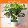 Pothos Evergreen Fake Indoor Potted Plant With Realistic Foliage For Home Office And Decoration