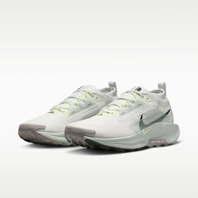 Nike Pegasus Trail 5 Gore-Tex Summit White Light Silver College Grey S