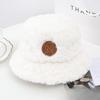 New Hat for Women's Winter Letters Imitation Mink Hair Warmth Thickened Fisherman Hat Korean Style Fashion Internet Celebrity Plush Pot Hat