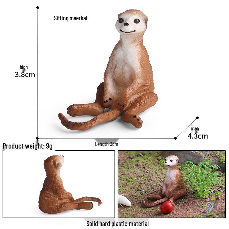 Wild Safari Animal Figurines: Giraffe, Elephant, Rhinoceros, Brown Bear, Tiger, Lion, Leopard, Hippopotamus - Solid Cognitive Toys