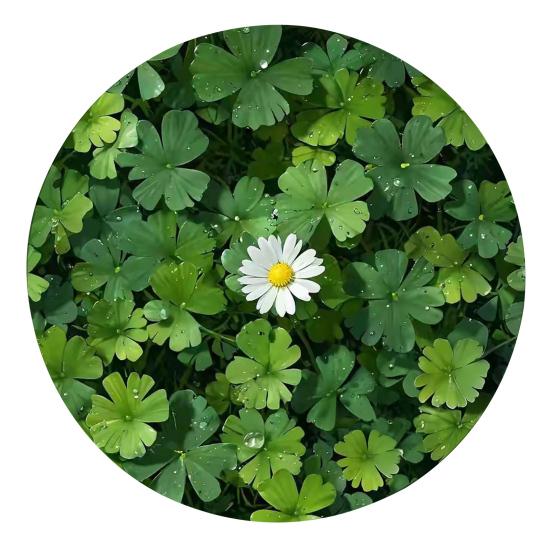 Spring Fitted Tablecloth Round Floral Tablecloth with Elastic Edge Rustic Flower Plant Patterns Table Cover for Picnic Farmhouse Home Party Decor