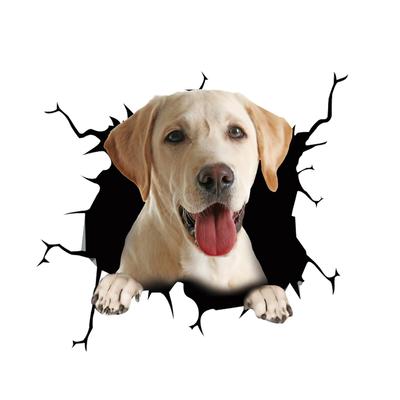 Accesorios de exterior – Pegatinas para automóviles