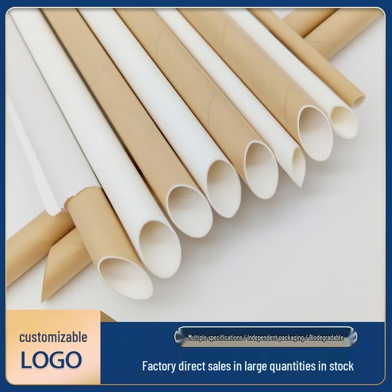 ZISIZ Disposable Paper Straws (100 Count)