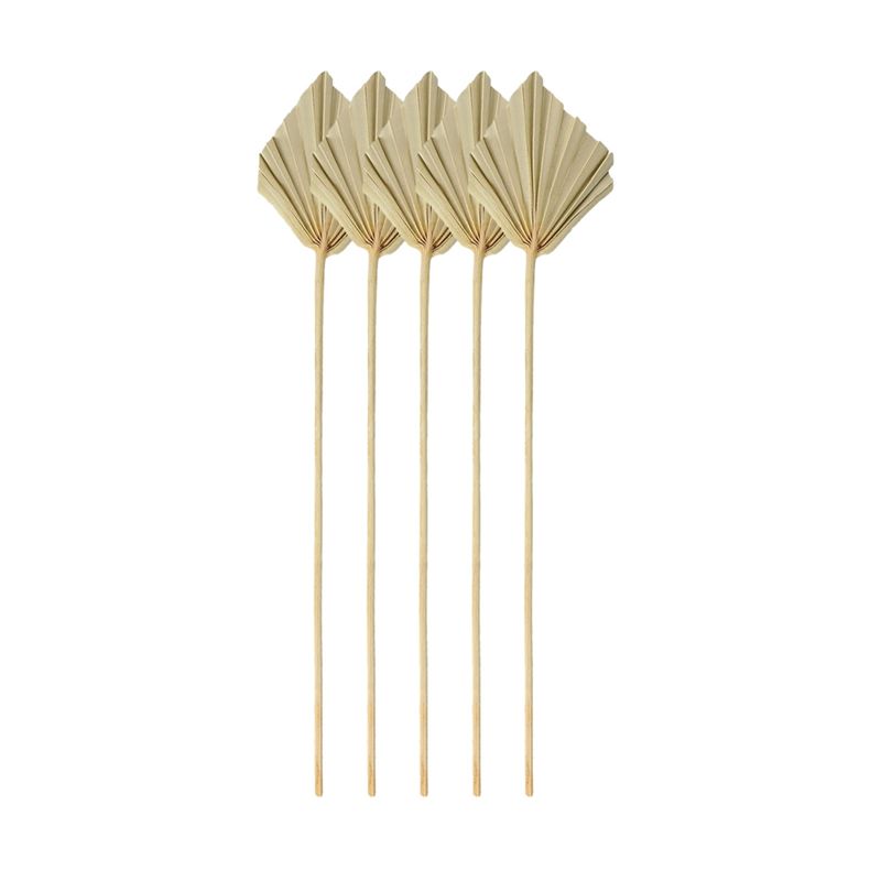 Boho Dried Palm Spears Small Natural Dried Palm Fans Leaves Decor