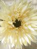 3 Pcs Brushed Artificial Gerbera Artificial Flowers Small Daisy for Mother's Day Gift Dining Table Wedding Party Decoration