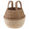 Seagrass Plant Pot with Handles White Ø 22 X 20 Cm 100percent  Seagrass