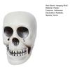 Halloween Hanging Skull Decoration Realistic Plastic Human Head Prop Spooky Skeleton Head Ornament with Lanyard for Home Party Haunted House Decor