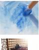 Paul Rubens Chinese Painting 12/24 Color Solid Watercolor Paint Set Package Landscape Ink Painting for Beginner Drawing