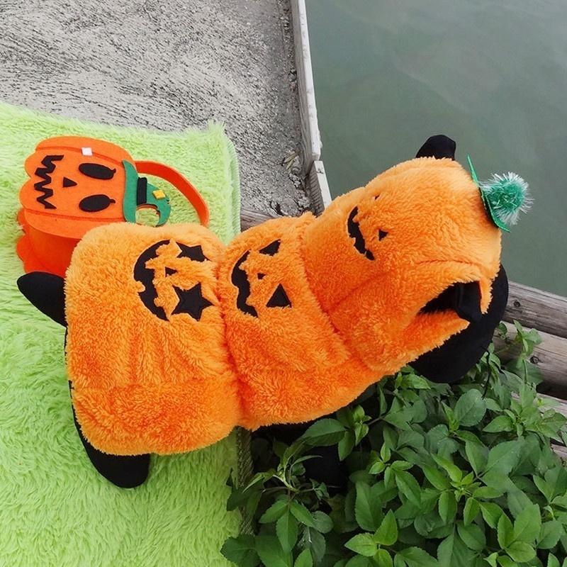 Oblečenie pre domáce zvieratá Jeseň a zima Oblečenie Halloween Prevod čarodejníka Psie oblečenie s kapucňou