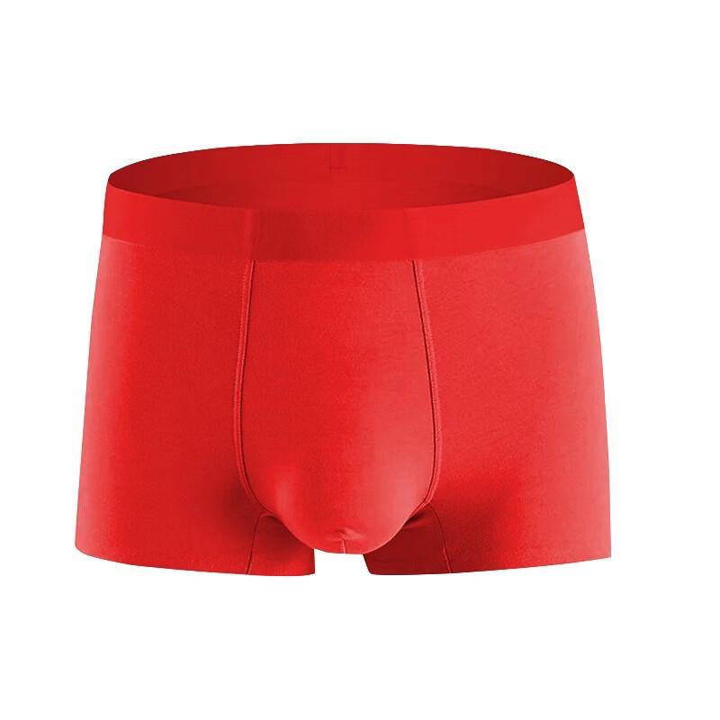 Cai Zhi Yan Men's Modal Boxer Briefs