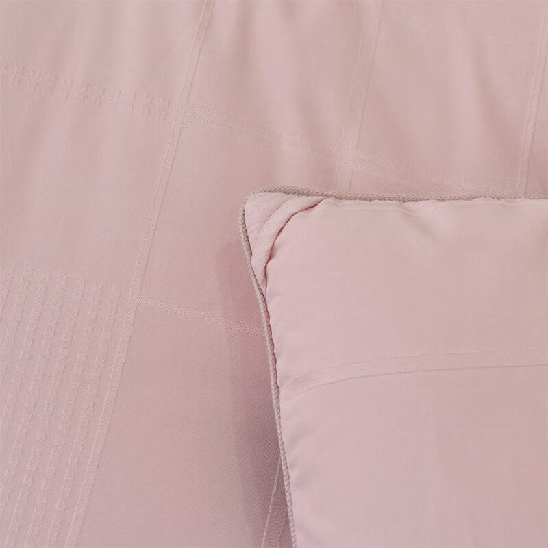 Snow Velvet Thickened Winter Duvet Insert