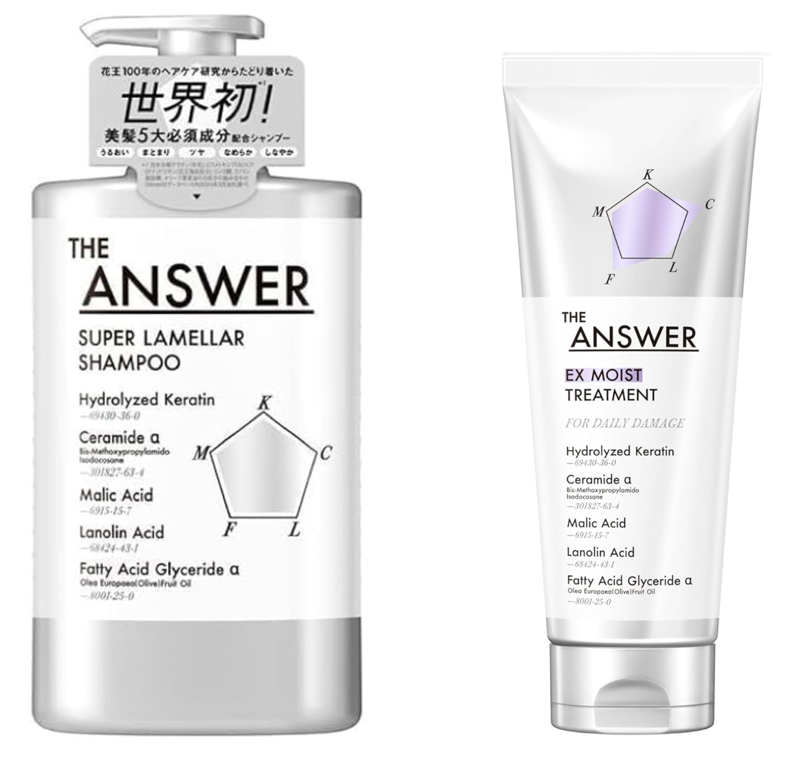 

THE ANSWER Супер Ламеллярный Шампунь 400мл EX Treatment 200г Набор EX Treatment & (Шампунь + (увлажненный))