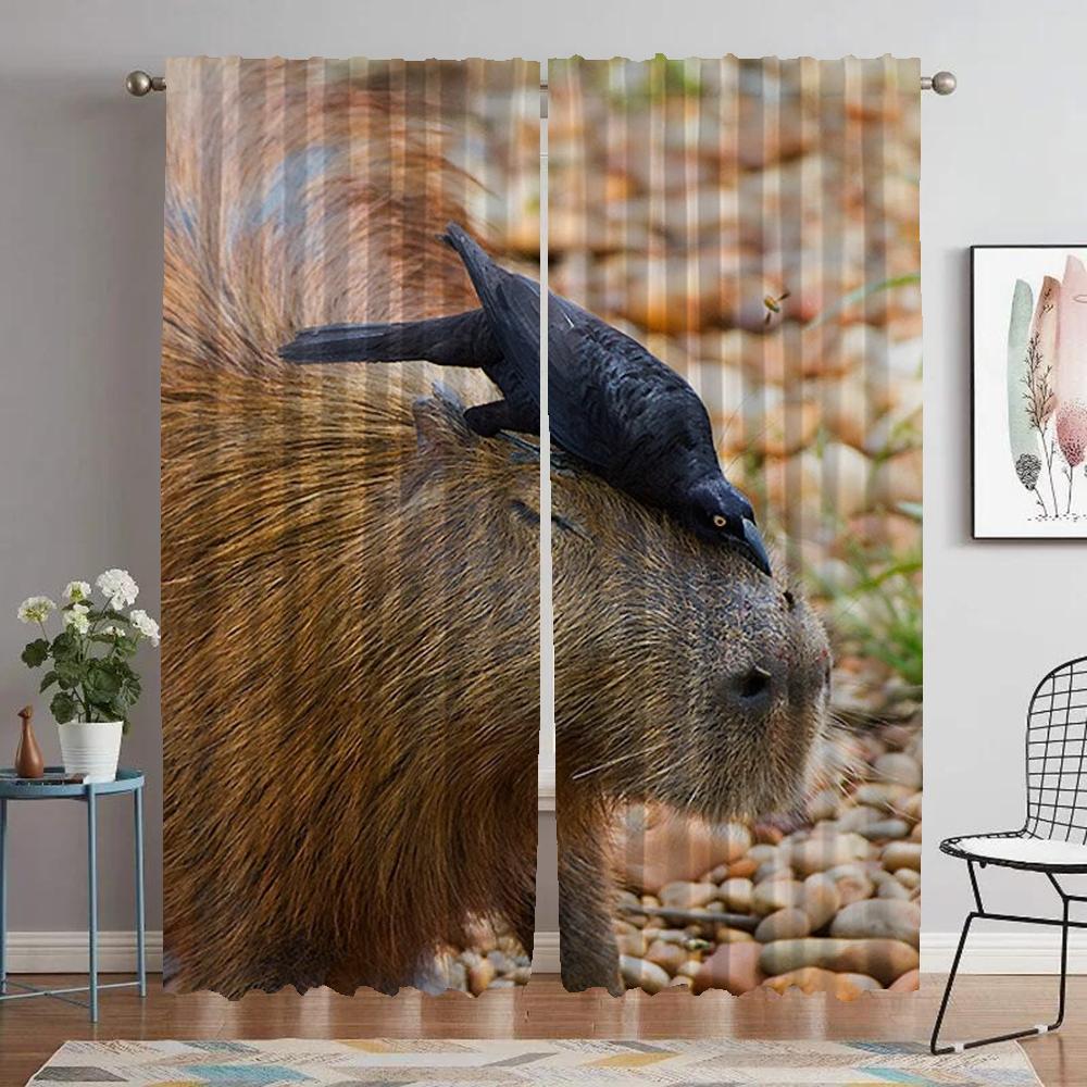 

Kitchen Curtains for Living Room Curtain for Room 2 Panel Capybara Shades Halloween Decoration Partition Home Interior Curtains W50xH70cmx2pcs-CL