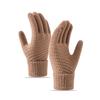 Women's Winter Velvet-Lined Touchscreen Knit Gloves - Cute, Thick, Korean Style, Cold-Proof