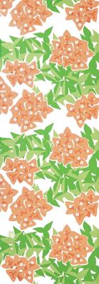 Dyeing Anbo Tenugui Authentic Dyed Cotton Tokuoka Made In Japan 35cm X 100cm "Bougainvillea Orange" 100%