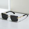 New square fashion sunglasses European and American personality borderless leopard decoration personality trimmed PC sunglasses