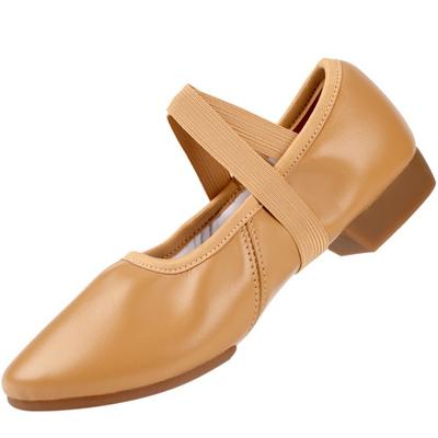 Sapatos de Dança da Moda para Mulheres Sola Lisa de Dois Pontos Sapatos de Professor Sapatos de Dança Profissionais