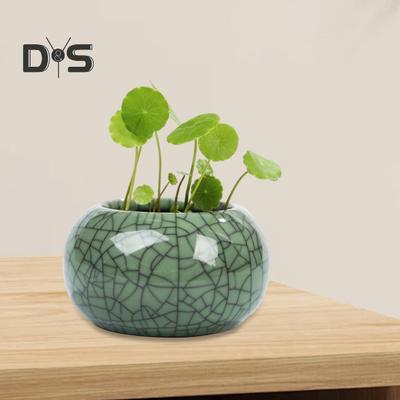 Ciotola in ceramica per fioriera di loto, mini vaso rotondo per fiori, ciotola smaltata per bonsai, vaso per piantare piccole piante idroponiche di centella asiatica