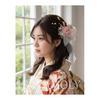 Baramoly Hair Accessory, Ribbon, for Coming-of-Age Ceremony, Graduation, Wedding, Japanese Kimono, Furisode, Hakama, Dress, Yukata, Pre-wedding