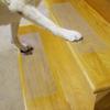 Zelfklevende Traptreden Antislip Stickers Transparant Hoge Wrijving Vloer Antislip Tape Waterdicht Badkamer Veiligheidstape