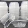 ZISIZ Disposable Plastic Takeaway Bowls with Lids