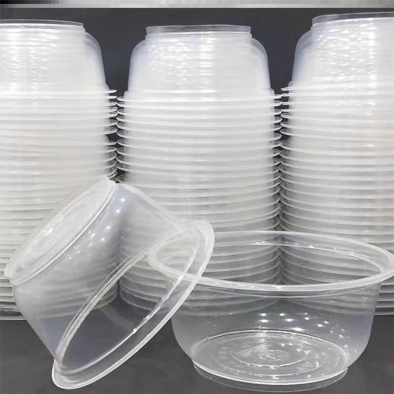 ZISIZ Disposable Plastic Takeaway Bowls with Lids