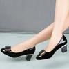 2026 Temperament Ladies Heeled Shoes Office Square Heel Pumps Women's High Heels Dress Plus Size Chunky Heel Shoes for Women