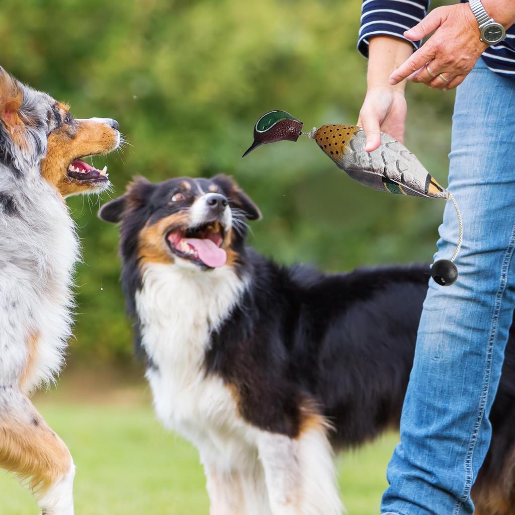 Hunting Dog Toys Duck Waterfowl Hunting Toys Dog Bumper Scent Floating Decoys Fowl Trainer Interactive Pet Supplies For Large