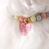 Heart Pendant Pet Pearl Collar Colorful Beads Dog Necklace Cat Collar Puppy Accessories Dog Chain Chihuahua Pet Wedding Jewelry