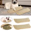 Catnip Chew Pillow with Jute Texture: Soothing Cat Toy for Dental Health, Scratching & Boredom Relief - Self-Play Cuddle Pad