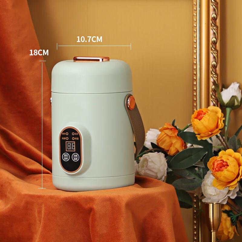 ZISIZ Multi-functional Smart Electric Stew Pot