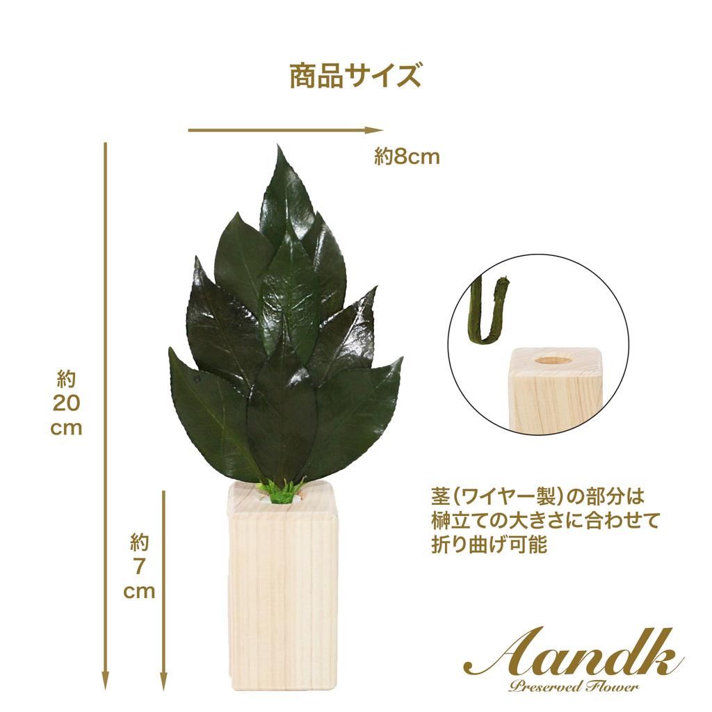 Mini S Sakaki Square Stand with Torii Gate, Large Set for Shinto Shrine, Handcrafted by Artisans, Torii Gate, Ofuda Stand, Shinto Shrine, Made with