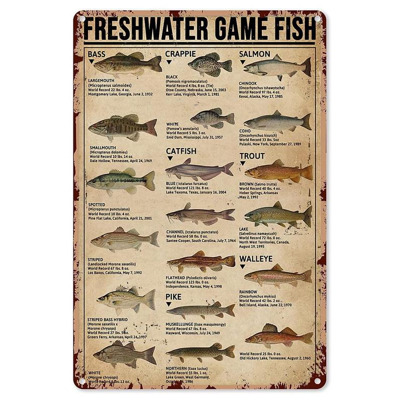 Metal Tin Signs Plaque Restroom Toilet Wall Decoration Vintage Iron Painting Art Posters for Man Cave Home Cafe Garden Club Bar