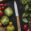 Couteau de cuisine - OPINEL - N 113 - Lame 10 cm - Acier inox - Manche en hêtre