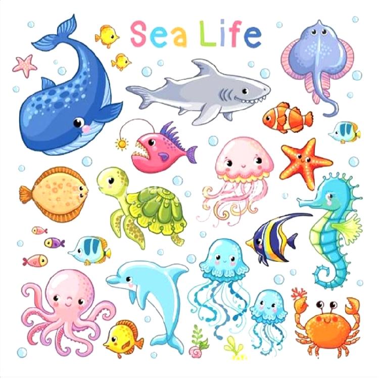 Ocean Animals Cutting Dies Stencil Template Mold Stamp Embossing Art Craft Decor