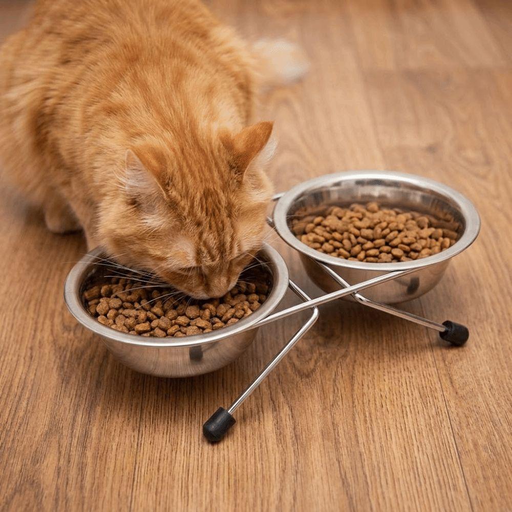 Iron Frame Stainless Steel Pet Bowl Anti-leak Pet Drinking Bowl Cat Double Bowl  Pet Feeding