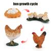Superior-Grade Animal First-Class Life Premium-Quality Cycle Top-Grade Board Premium-Quality Children Play Sets First-Class Montessori First-Class